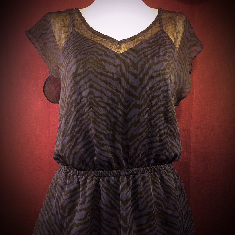 Express, Black & Navy Zebra Print, Layered Top